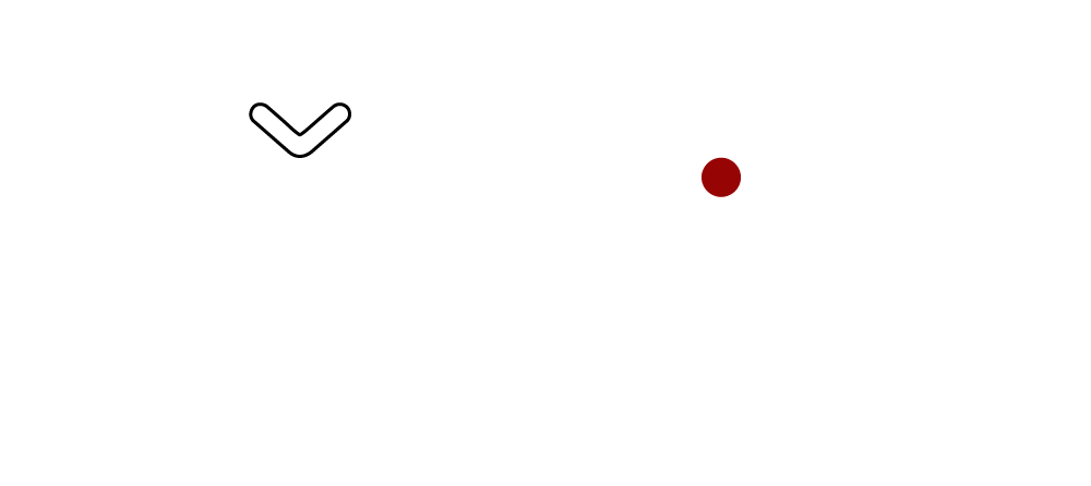 the air gun store